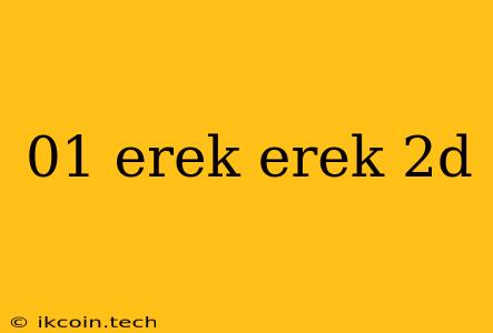 01 Erek Erek 2d