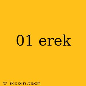 01 Erek