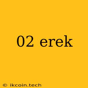 02 Erek