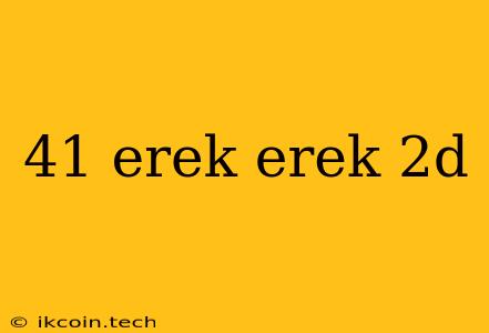 41 Erek Erek 2d