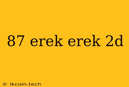 87 Erek Erek 2d