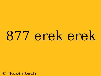 877 Erek Erek