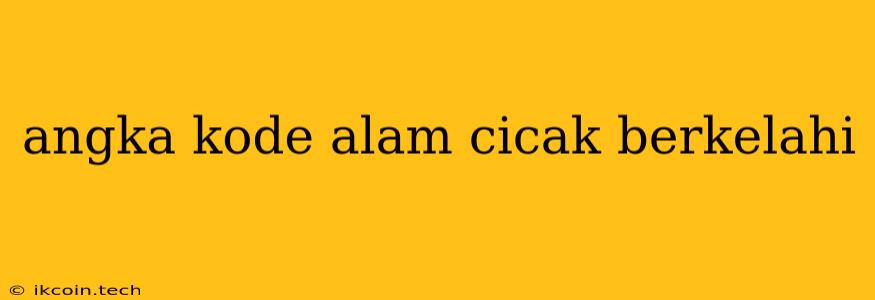 Angka Kode Alam Cicak Berkelahi