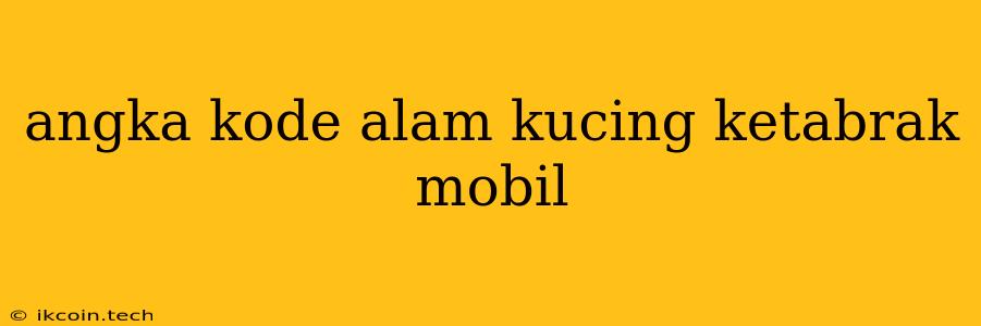 Angka Kode Alam Kucing Ketabrak Mobil