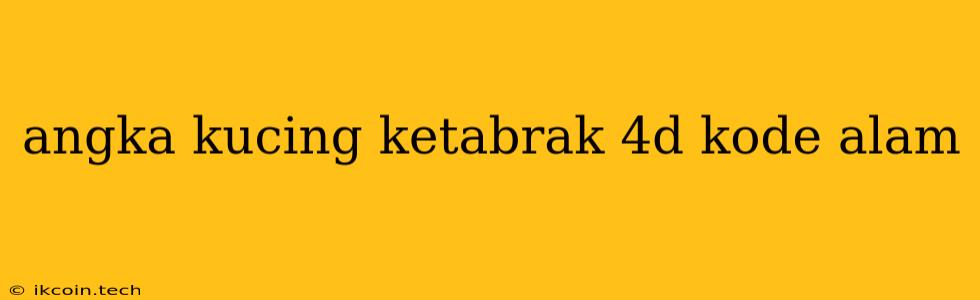 Angka Kucing Ketabrak 4d Kode Alam