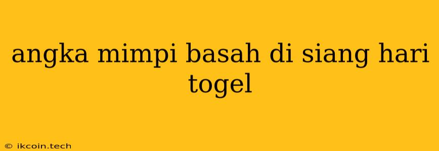 Angka Mimpi Basah Di Siang Hari Togel