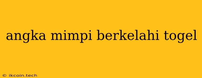 Angka Mimpi Berkelahi Togel