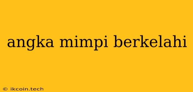 Angka Mimpi Berkelahi