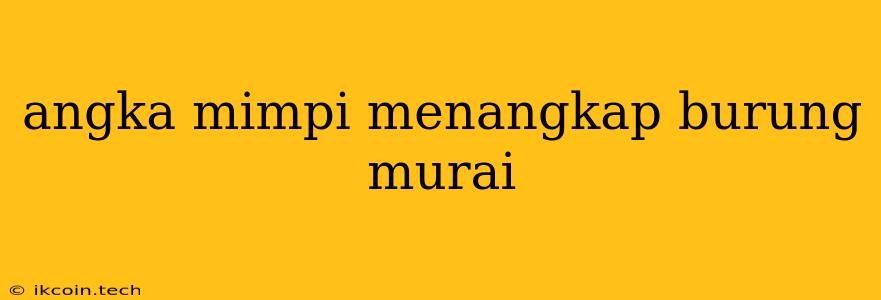 Angka Mimpi Menangkap Burung Murai