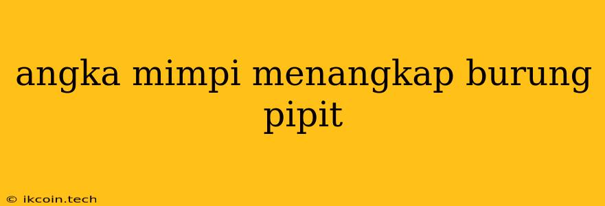 Angka Mimpi Menangkap Burung Pipit