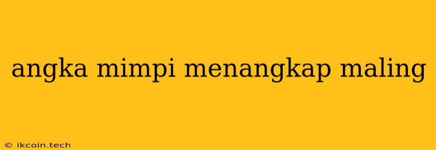 Angka Mimpi Menangkap Maling