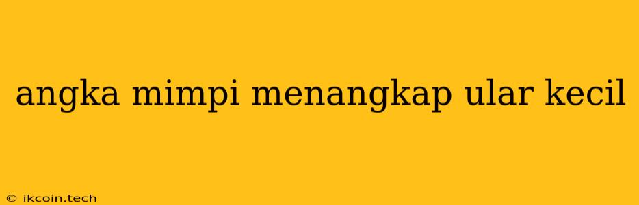 Angka Mimpi Menangkap Ular Kecil