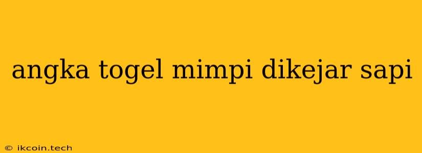 Angka Togel Mimpi Dikejar Sapi