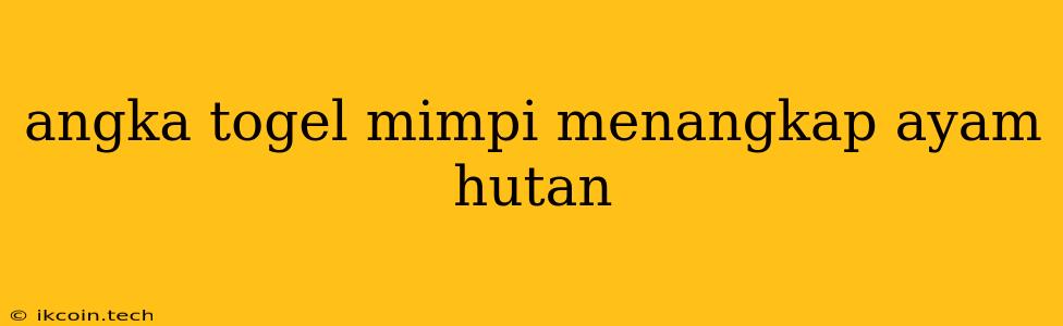 Angka Togel Mimpi Menangkap Ayam Hutan