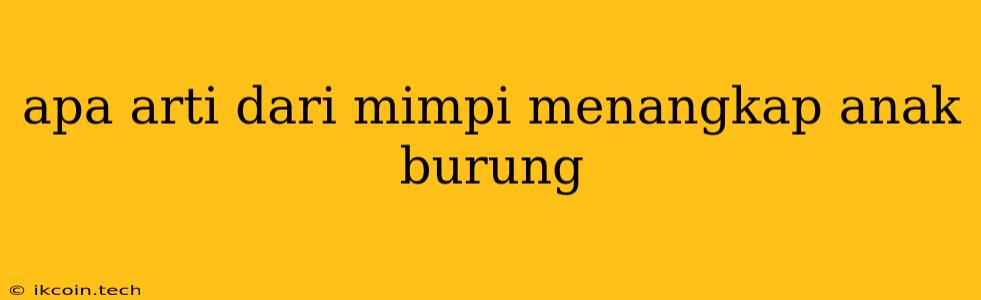 Apa Arti Dari Mimpi Menangkap Anak Burung