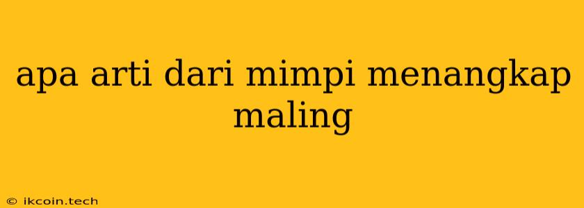 Apa Arti Dari Mimpi Menangkap Maling