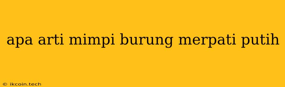 Apa Arti Mimpi Burung Merpati Putih