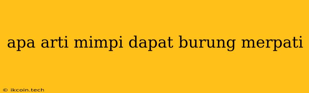 Apa Arti Mimpi Dapat Burung Merpati