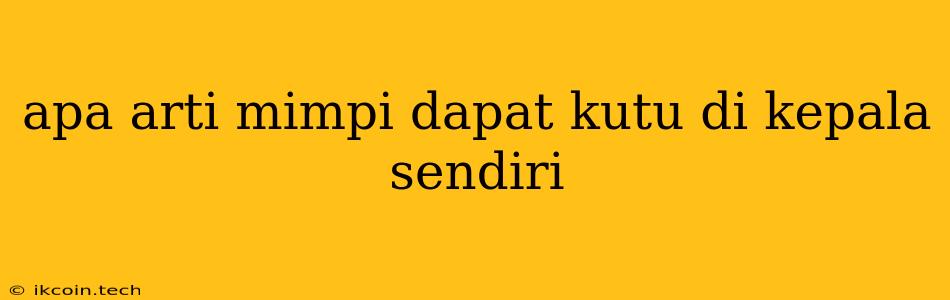 Apa Arti Mimpi Dapat Kutu Di Kepala Sendiri