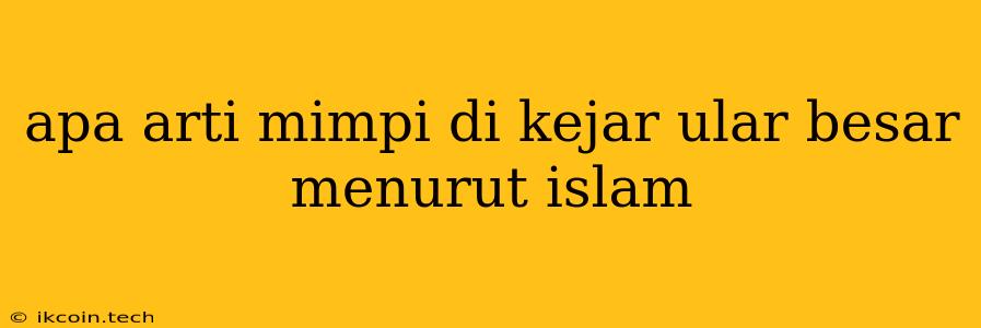 Apa Arti Mimpi Di Kejar Ular Besar Menurut Islam