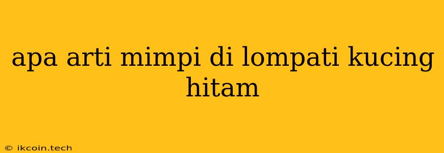 Apa Arti Mimpi Di Lompati Kucing Hitam