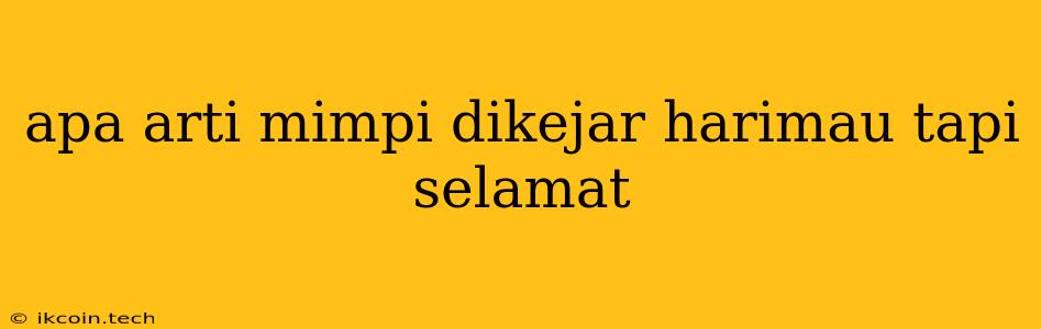 Apa Arti Mimpi Dikejar Harimau Tapi Selamat