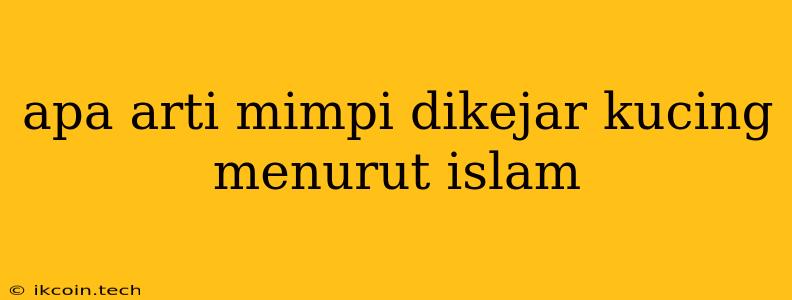 Apa Arti Mimpi Dikejar Kucing Menurut Islam