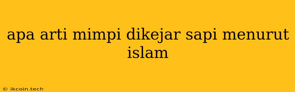 Apa Arti Mimpi Dikejar Sapi Menurut Islam