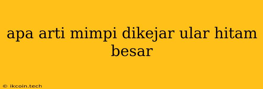 Apa Arti Mimpi Dikejar Ular Hitam Besar