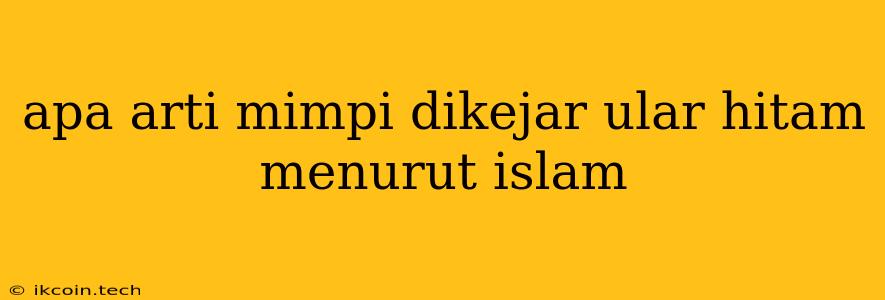 Apa Arti Mimpi Dikejar Ular Hitam Menurut Islam