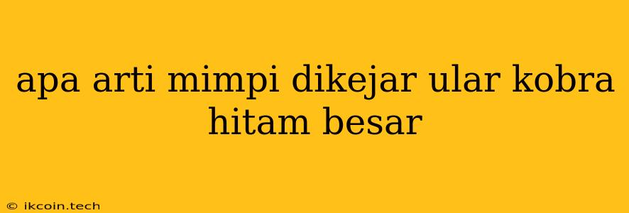 Apa Arti Mimpi Dikejar Ular Kobra Hitam Besar