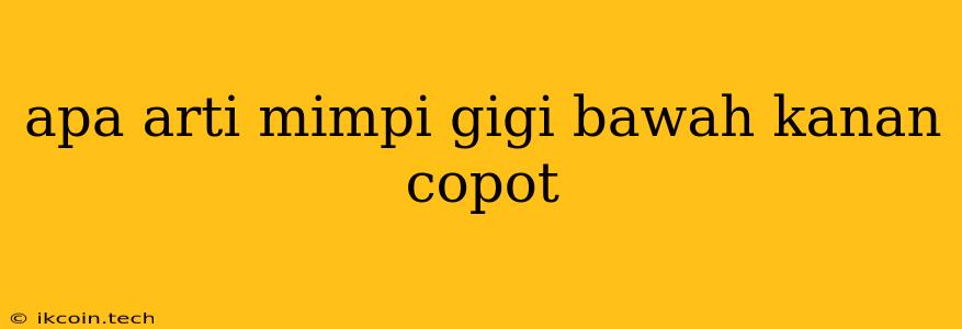 Apa Arti Mimpi Gigi Bawah Kanan Copot