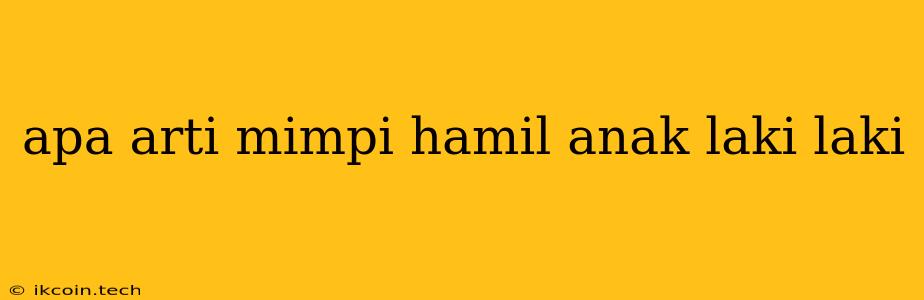 Apa Arti Mimpi Hamil Anak Laki Laki