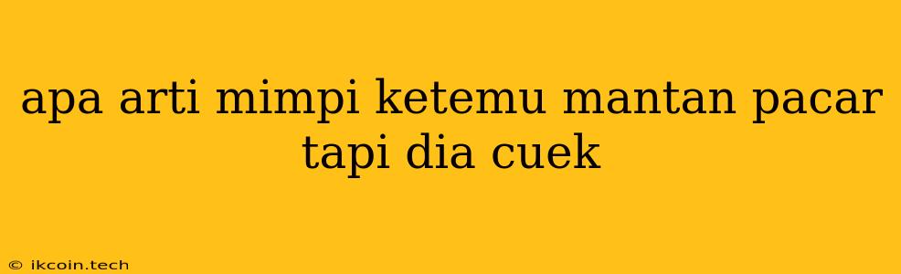 Apa Arti Mimpi Ketemu Mantan Pacar Tapi Dia Cuek