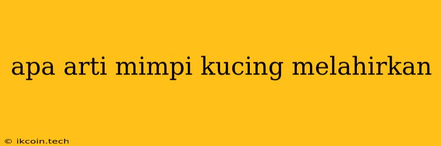 Apa Arti Mimpi Kucing Melahirkan