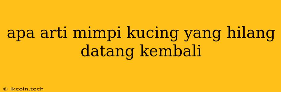 Apa Arti Mimpi Kucing Yang Hilang Datang Kembali