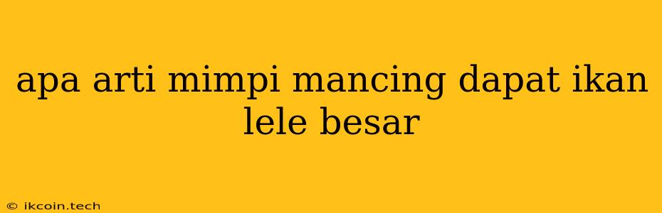 Apa Arti Mimpi Mancing Dapat Ikan Lele Besar