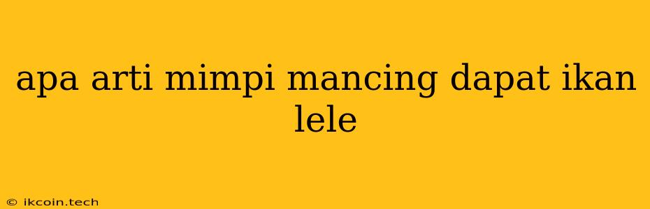 Apa Arti Mimpi Mancing Dapat Ikan Lele