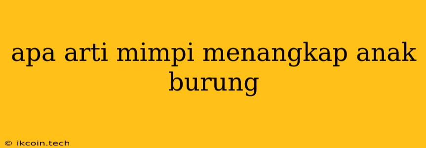 Apa Arti Mimpi Menangkap Anak Burung