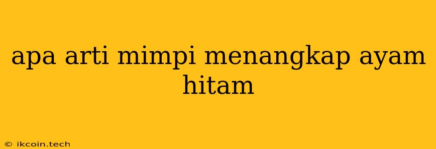 Apa Arti Mimpi Menangkap Ayam Hitam