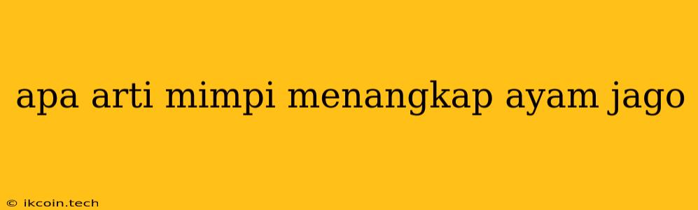 Apa Arti Mimpi Menangkap Ayam Jago