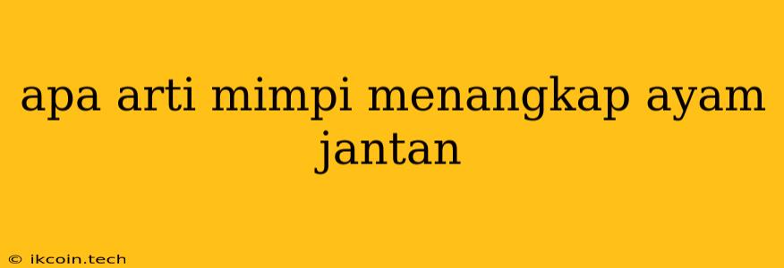 Apa Arti Mimpi Menangkap Ayam Jantan