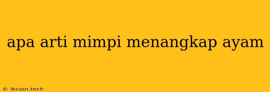 Apa Arti Mimpi Menangkap Ayam