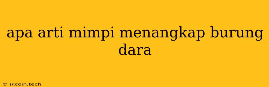 Apa Arti Mimpi Menangkap Burung Dara