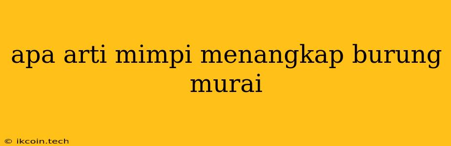 Apa Arti Mimpi Menangkap Burung Murai