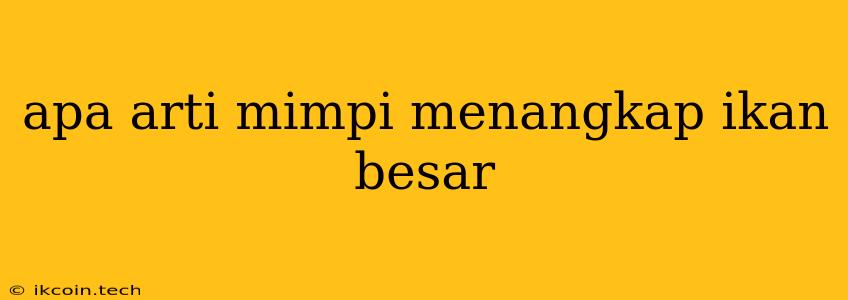 Apa Arti Mimpi Menangkap Ikan Besar