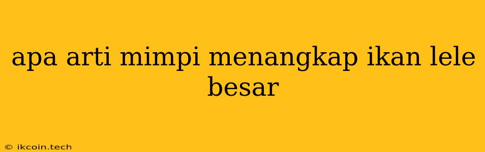 Apa Arti Mimpi Menangkap Ikan Lele Besar