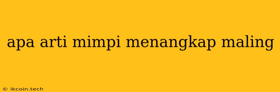 Apa Arti Mimpi Menangkap Maling