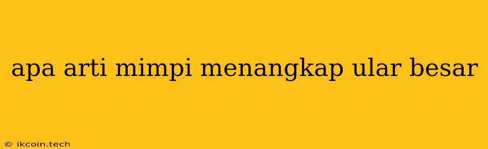 Apa Arti Mimpi Menangkap Ular Besar