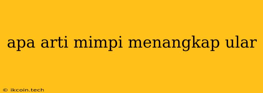 Apa Arti Mimpi Menangkap Ular